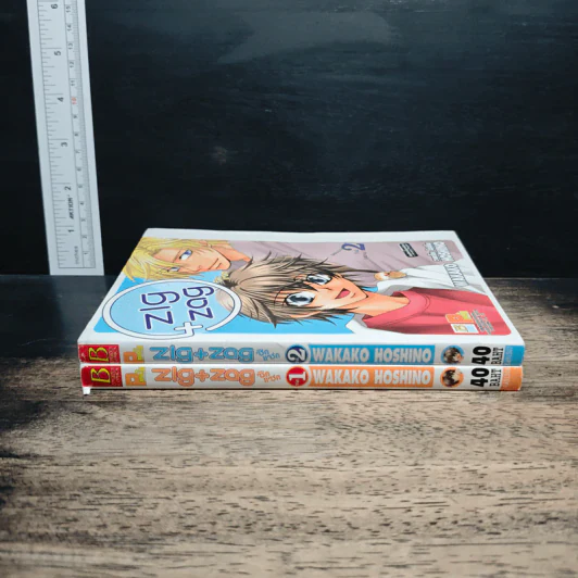 ZIG X ZAG ซิกแซก 2 เล่มจบ รูปที่ 3