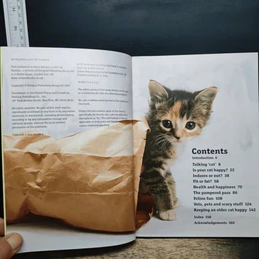 How to have a happy cat รูปที่ 6