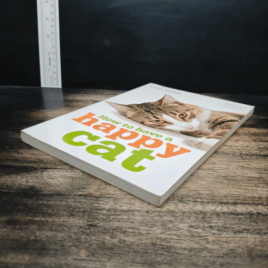 How to have a happy cat รูปที่ 4