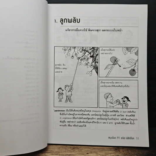 สมุนไพร 91 ชนิด พิชิตโรค - Jung Hyung Ki รูปที่ 9
