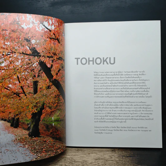 Tohoku Sendai รูปที่ 7