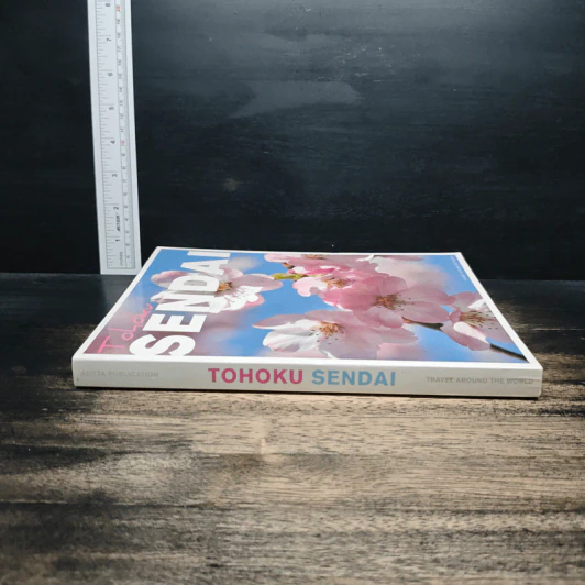 Tohoku Sendai รูปที่ 3
