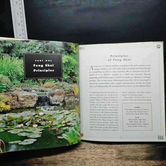 Feng Shui in Your Garden - Roni Jay รูปที่ 7