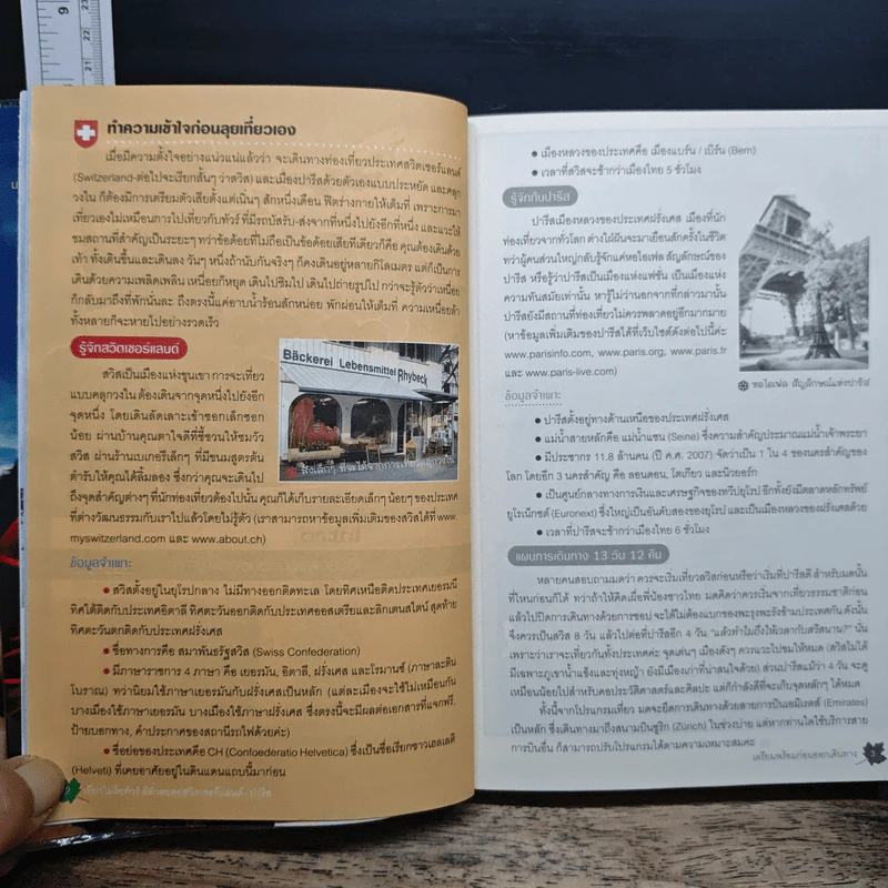 เที่ยวไม่ง้อทัวร์ ตีตั๋วตะลุยสวิตเซอร์แลนด์+ปารีส รูปที่ 11