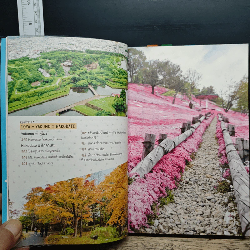 ขับรถเที่ยว ฮอกไกโด รูปที่ 12