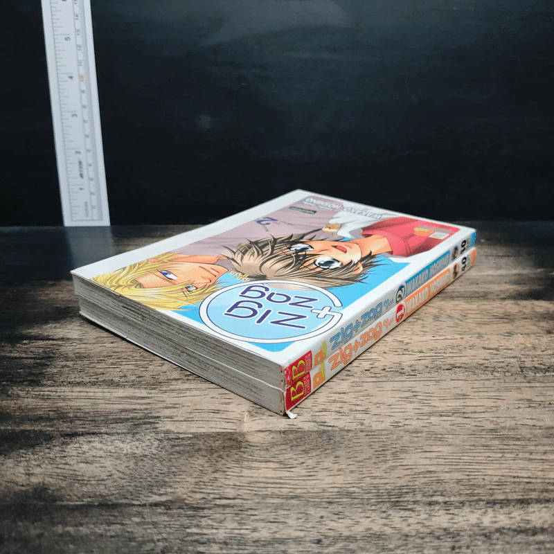 ZIG X ZAG ซิกแซก 2 เล่มจบ รูปที่ 5