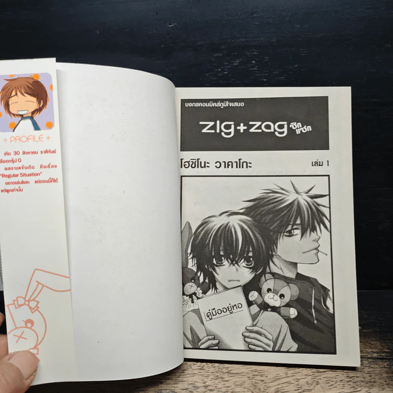 ZIG X ZAG ซิกแซก 2 เล่มจบ รูปที่ 6