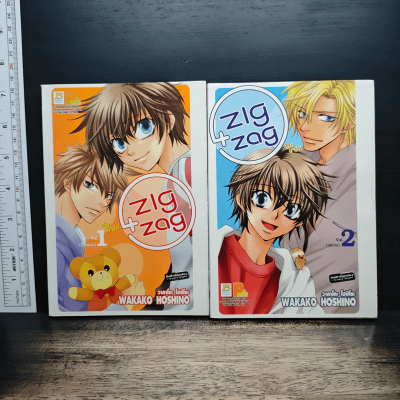 ZIG X ZAG ซิกแซก 2 เล่มจบ รูปที่ 1