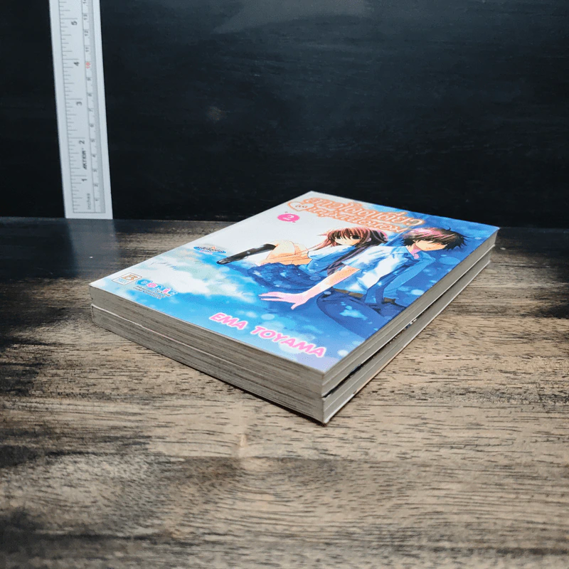 สาวโดดเดี่ยวกับหนุ่มเนื้อหอม เล่ม 1-2 รูปที่ 4