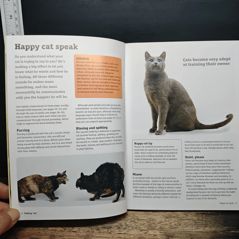 How to have a happy cat รูปที่ 10