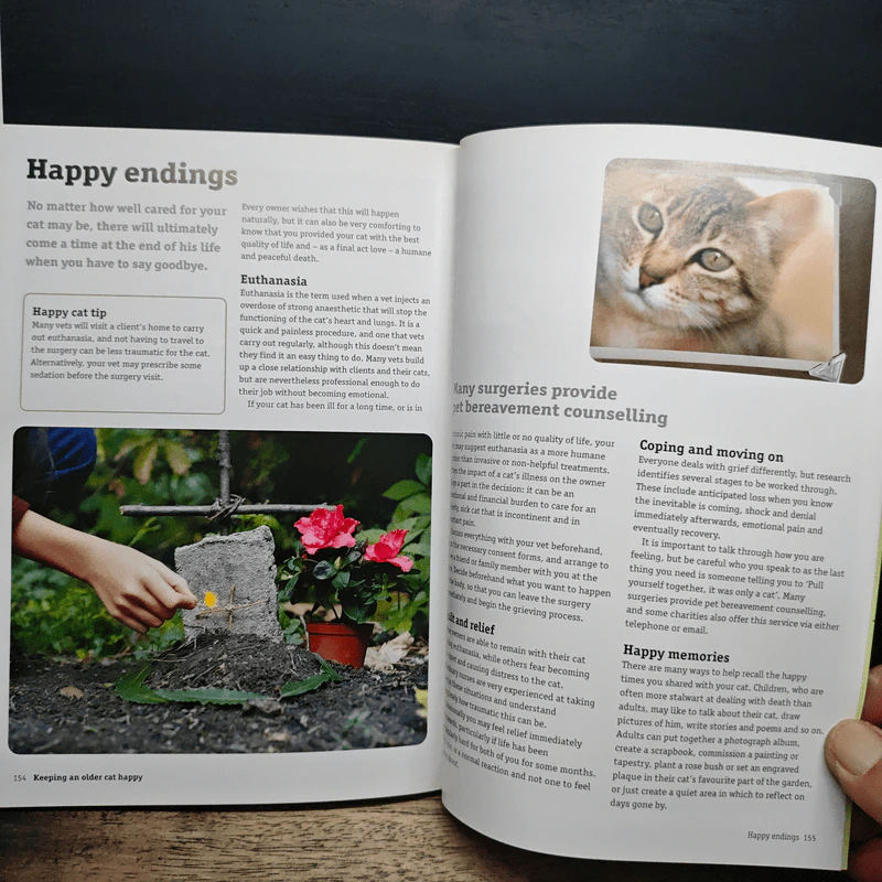 How to have a happy cat รูปที่ 11