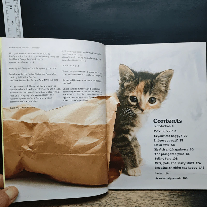 How to have a happy cat รูปที่ 6