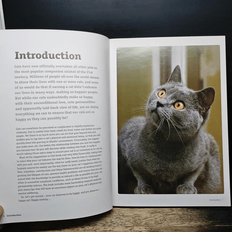 How to have a happy cat รูปที่ 7