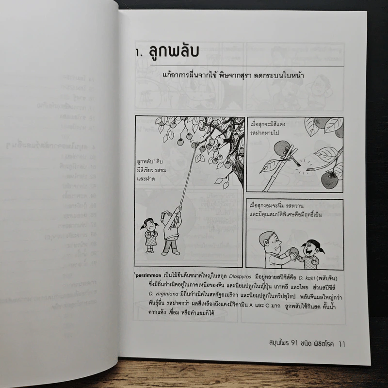 สมุนไพร 91 ชนิด พิชิตโรค - Jung Hyung Ki รูปที่ 9