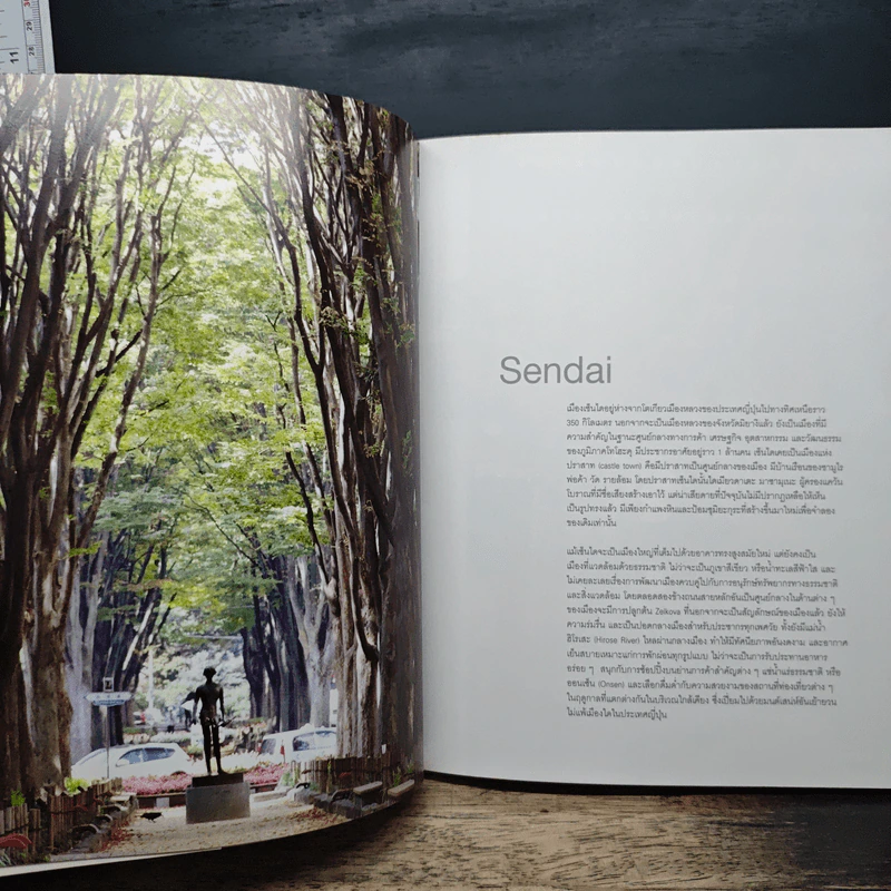 Tohoku Sendai รูปที่ 9