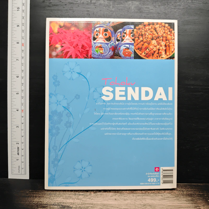 Tohoku Sendai รูปที่ 2