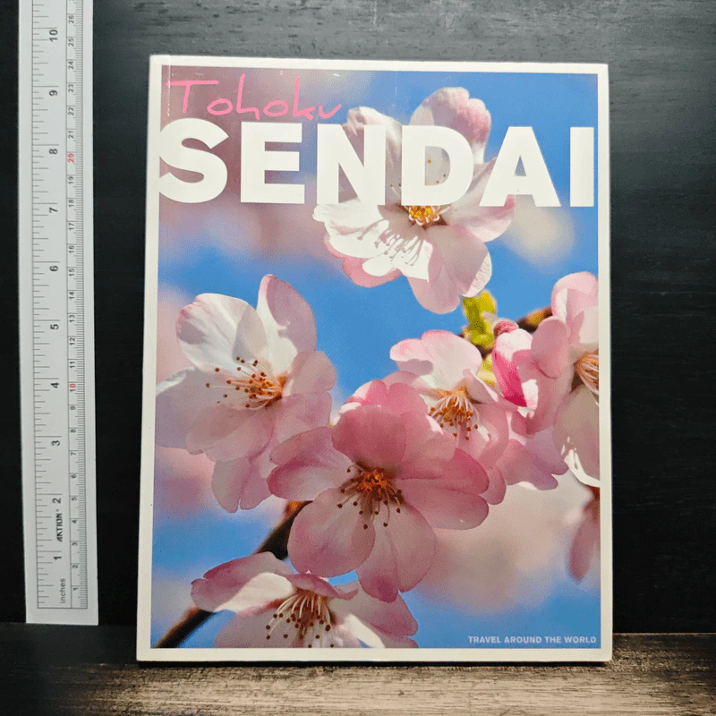 Tohoku Sendai รูปที่ 1