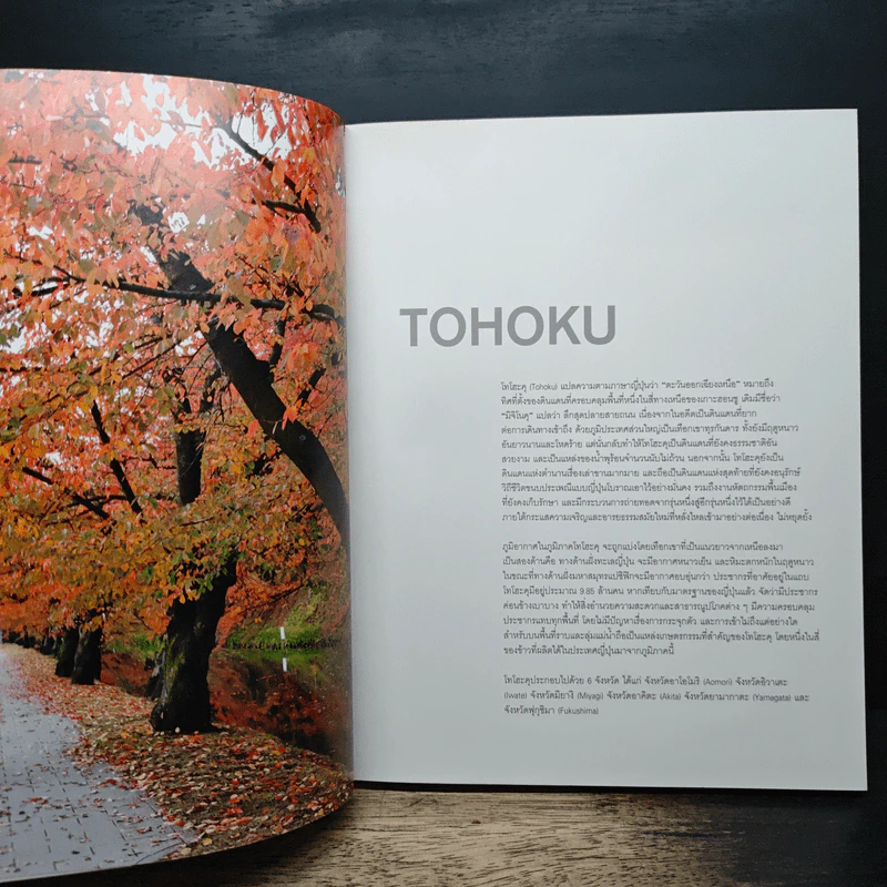 Tohoku Sendai รูปที่ 7