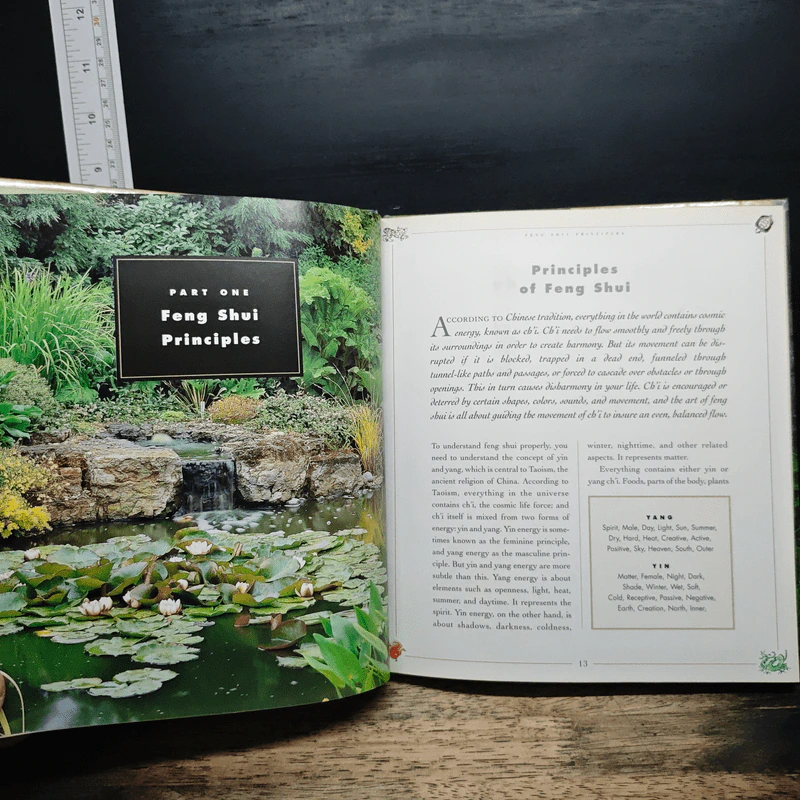 Feng Shui in Your Garden - Roni Jay รูปที่ 7