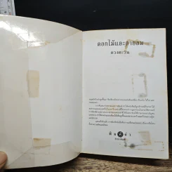 ดอกไม้และสายลม - ดวงตะวัน รูปที่ 6