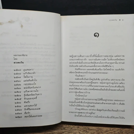 ดอกไม้และสายลม - ดวงตะวัน รูปที่ 8