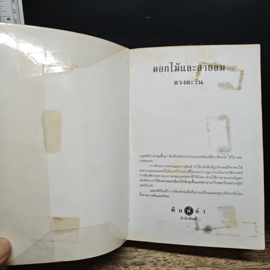 ดอกไม้และสายลม - ดวงตะวัน รูปที่ 6