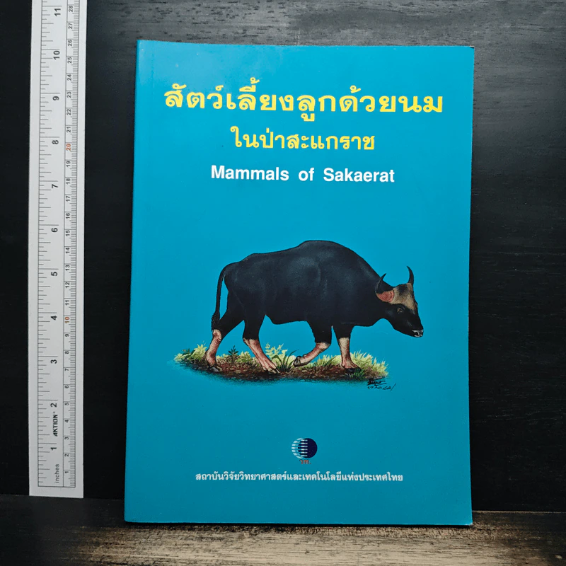สัตว์เลี้ยงลูกด้วยนมในป่าสะแกราช รูปที่ 1