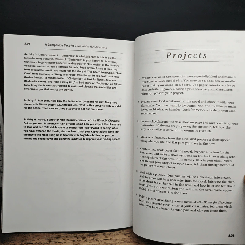 A Companion Text for Like Water for Chocolate - Janet Giannotti รูปที่ 9