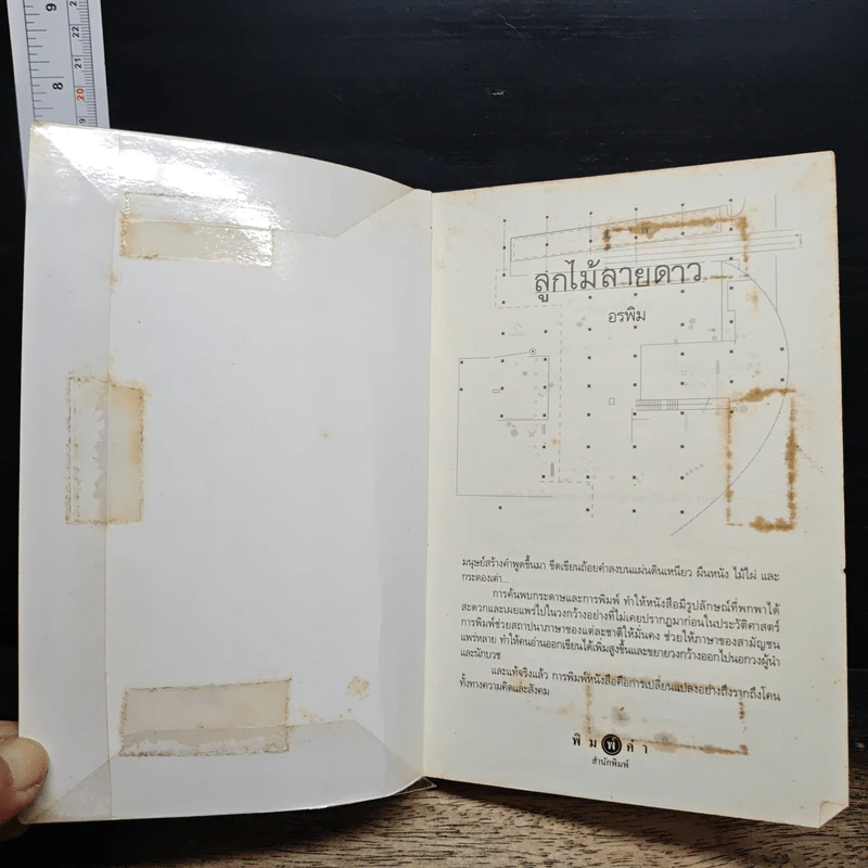 ลูกไม้ลายดาว - อรพิม รูปที่ 6