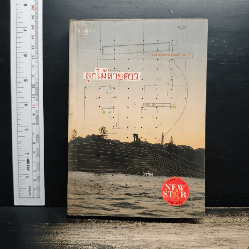 ลูกไม้ลายดาว - อรพิม รูปที่ 1