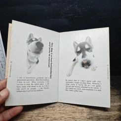 Artlist Collection THE DOG 13 Siberian Husky รูปที่ 7