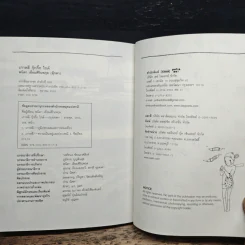 KOREA GUGGIG GUIDE เกาหลี กุ๊กกิ๊ก ไกด์ รูปที่ 10