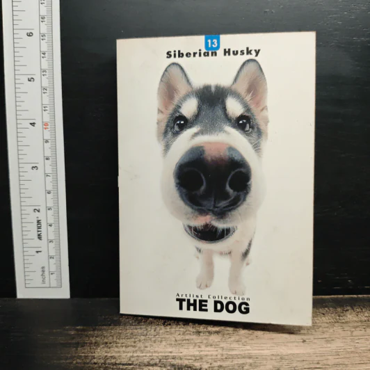 Artlist Collection THE DOG 13 Siberian Husky รูปที่ 1