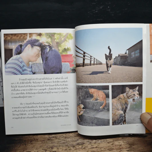 Kyushu in Love คิวชู อิน เลิฟ - สู่ขวัญ อรรถจารุสิทธิ์ รูปที่ 8