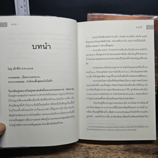มายาวี Mayavi 2 เล่มจบ - ณารา รูปที่ 8