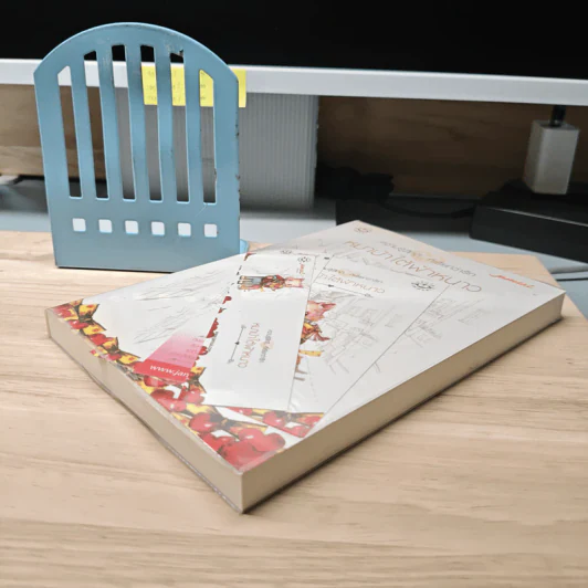 หมาป่าใต้ฟ้าหนาว - bookmark รูปที่ 3