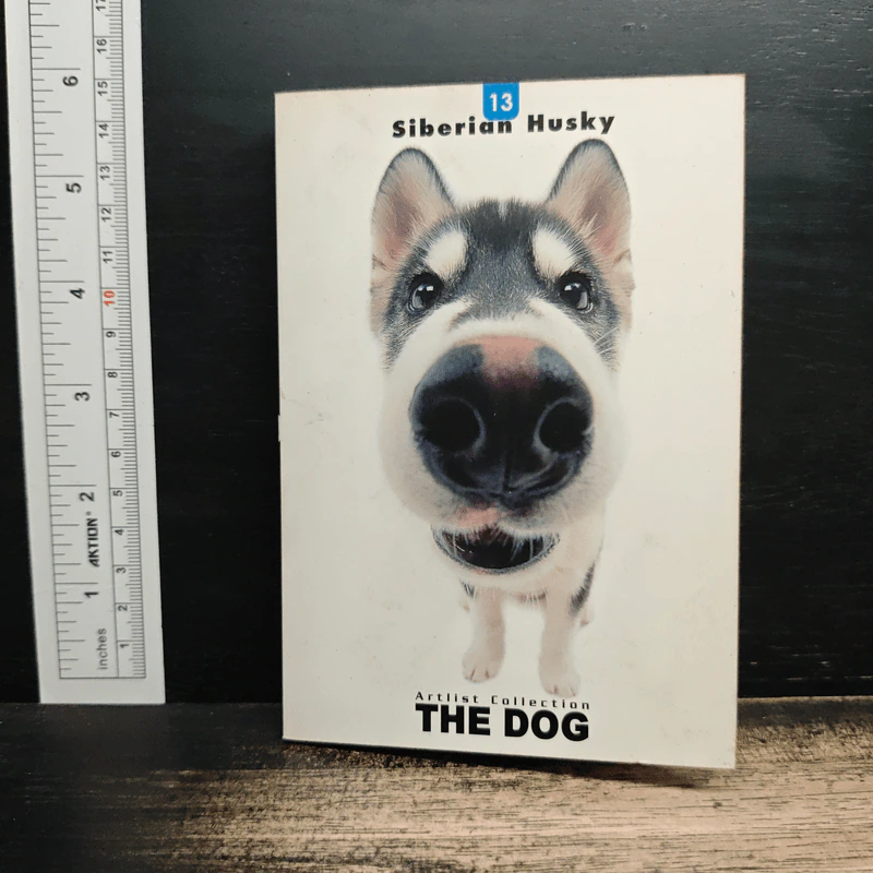 Artlist Collection THE DOG 13 Siberian Husky รูปที่ 1