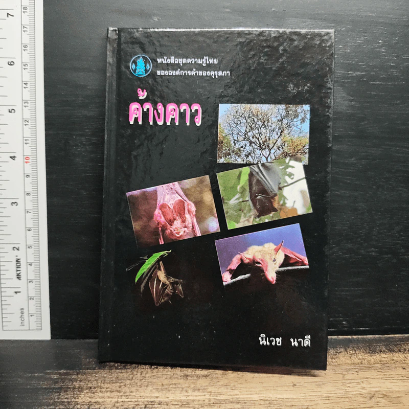 ค้างคาว - นิเวช นาดี รูปที่ 1