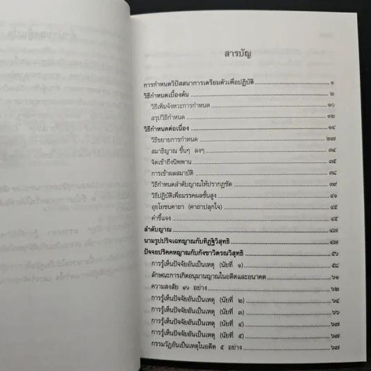 หลักการปฏิบัติวิปัสสนากัมมัฏฐาน รูปที่ 9