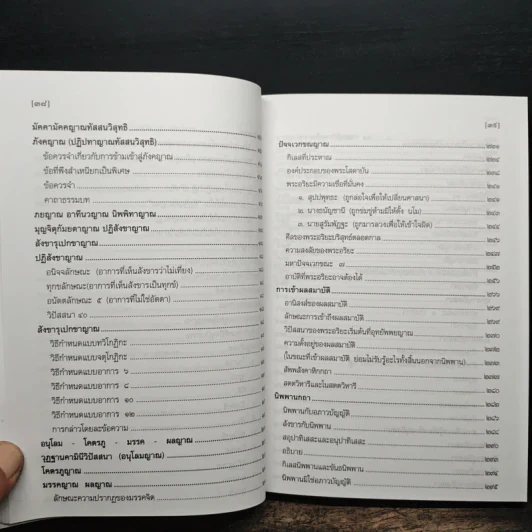 หลักการปฏิบัติวิปัสสนากัมมัฏฐาน รูปที่ 11