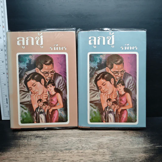 ลูกชู้ 2 เล่มจบ - รพีพร รูปที่ 1