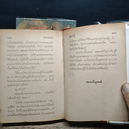 ชนวนบาป 2 เล่มจบ - สุภาวดี รูปที่ 9