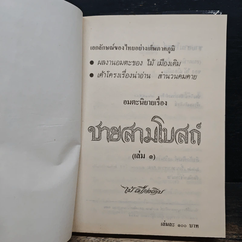 ชายสามโบสถ์ 2 เล่มจบ - ไม้ เมืองเดิม รูปที่ 6