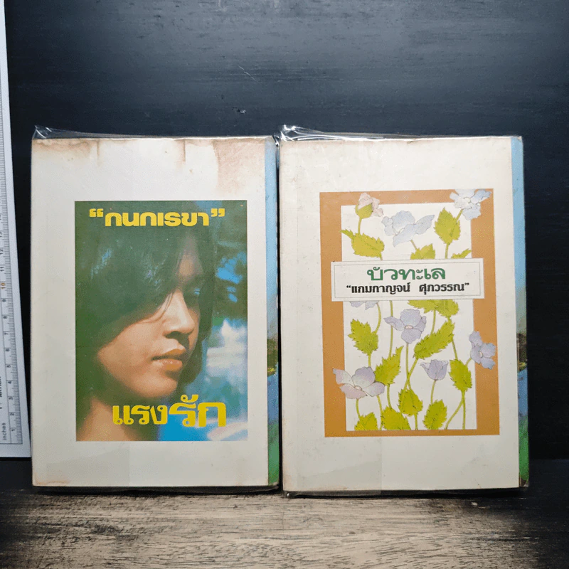 ตึกฝรั่ง 2 เล่มจบ - รพีพร รูปที่ 2