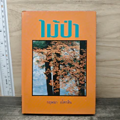 ไม้ป่า - กฤษณา อโศกสิน รูปที่ 1
