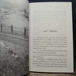 พระจันทร์ครึ่งดวงที่วาปี - ไชยวรศิลป์ รูปที่ 7