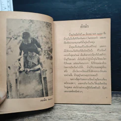 เรื่องของน้ำพุ รูปที่ 7