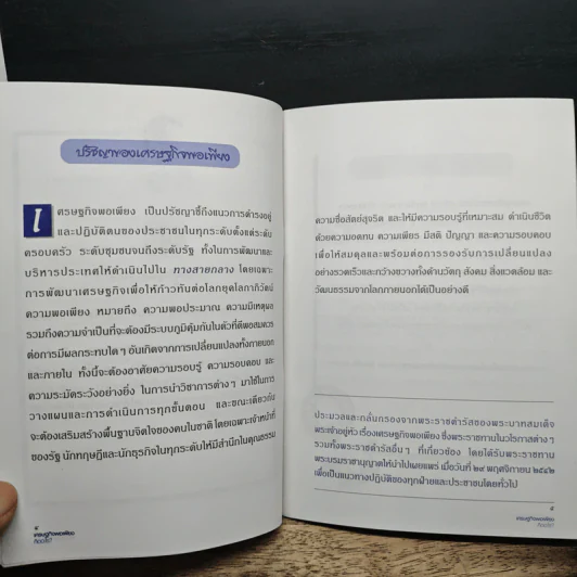 เศรษฐกิจพอเพียงคืออะไร? รูปที่ 8