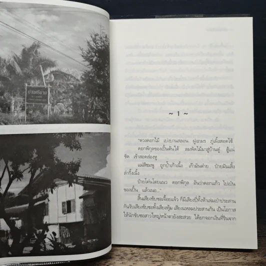 มนต์ซอยังไม่สิ้น - อ.ไชยวรศิลป์ รูปที่ 6