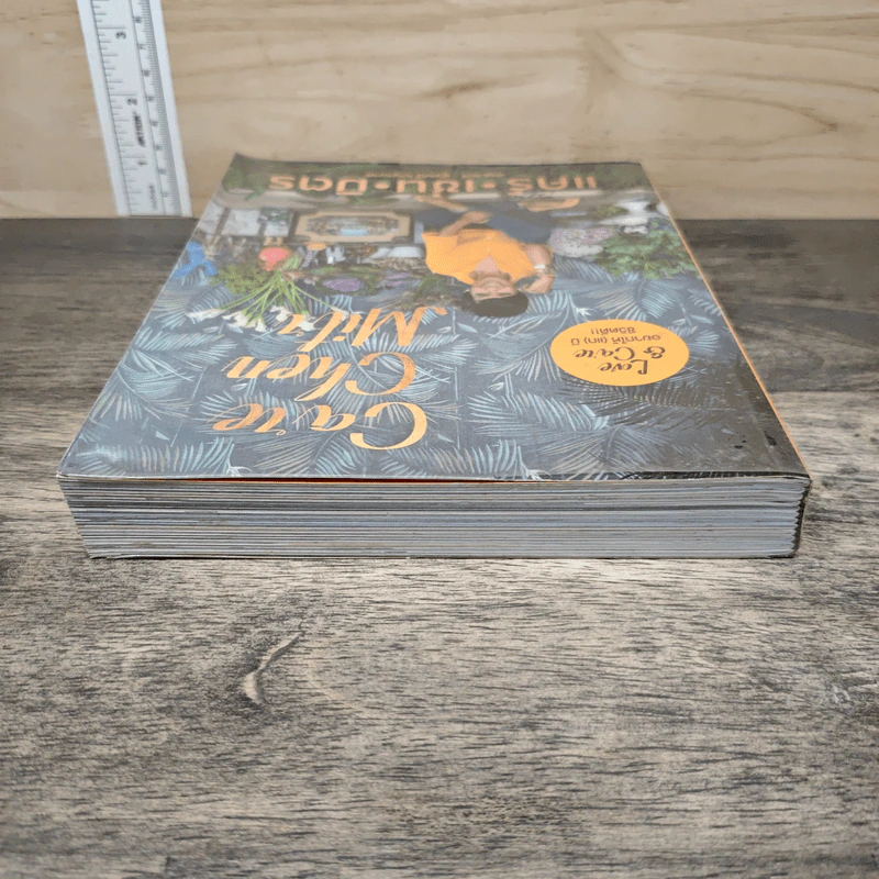 แคร์ เช่น มิตร : Care Chen Mitr - กาละแมร์ พัชรศรี รูปที่ 4